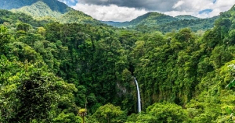 La pérdida de bosques se ralentiza en América del Sur y las áreas protegidas aumentan