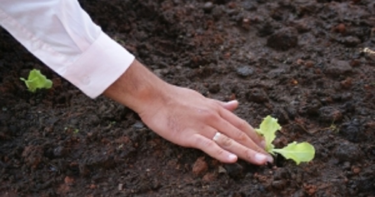 Expertos de Brasil y Colombia intercambian conocimientos sobre Agroecología bajo la mirada de la investigación y la academia
