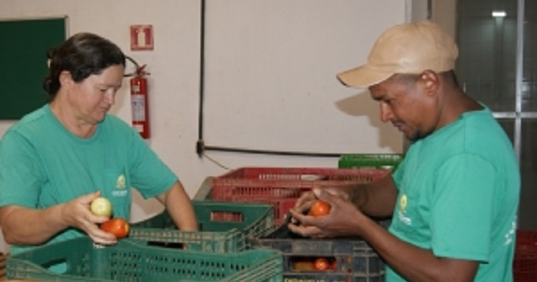 Brasil y Colombia intercambiaron conocimientos en compras públicas a la agricultura familiar