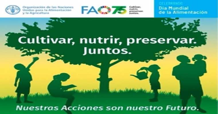 FAO: la pandemia abre la oportunidad para reconstruir transformando los sistemas agroalimentarios de América Latina y el Caribe