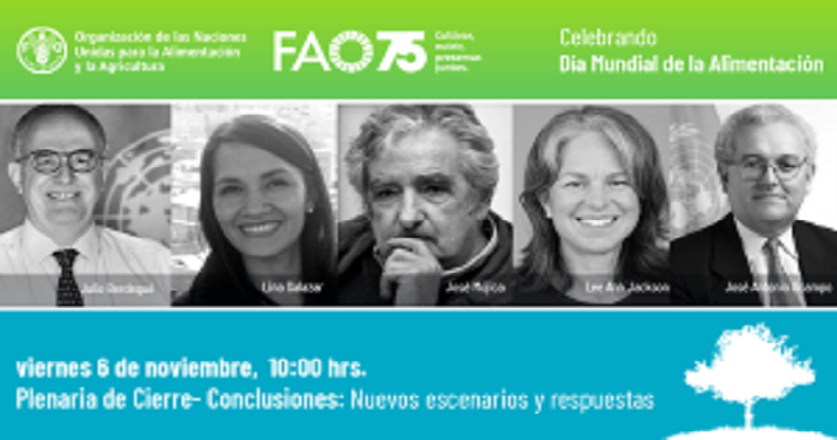 Los sistemas agroalimentarios deben estar al centro de la respuesta regional a la pandemia de COVID19