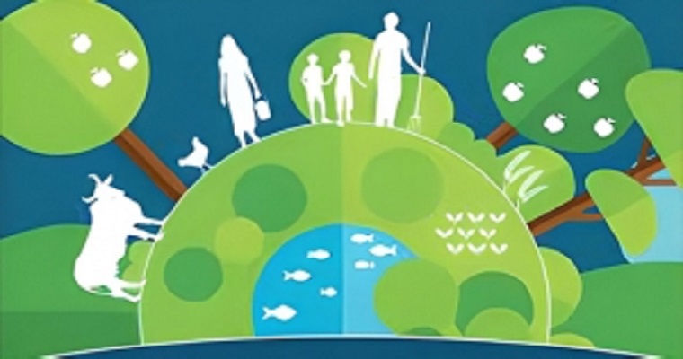 FAO publicó términos sobre la resistencia a los antimicrobianos en once idiomas