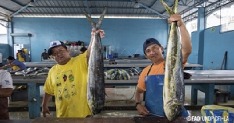 Día Mundial de la Pesca: FAO llama a promover la protección social de pescadores de pequeña escala
