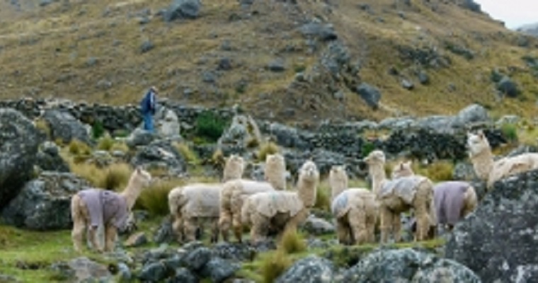 Celebración de la diversidad de los sistemas de patrimonio agrícola de importancia mundial