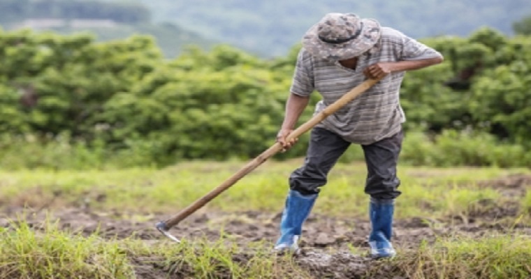 En el Día Internacional de la Tierra, tenga claro cómo puede cuidarla