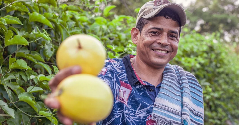 MERAKI FRUITS, una compañía exportadora de frutas que conquistó a Kuwait y España