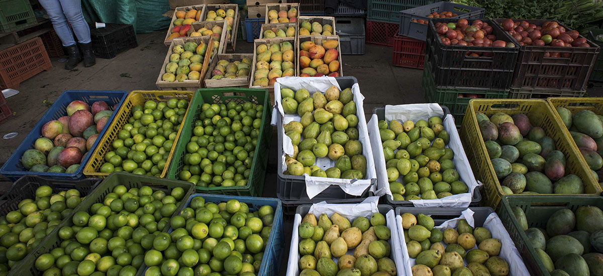 Precio de los alimentos fue el motor que jalonó descenso de la inflación en agosto - 06 de septiembre de 2016