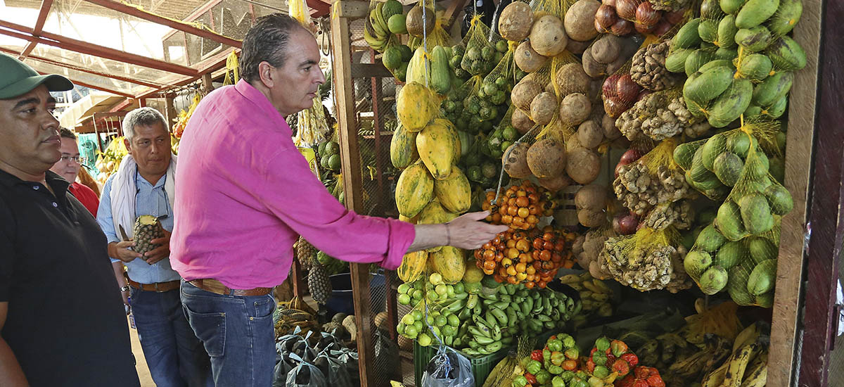 El 83.5% de los alimentos que consumen los colombianos son producidos por nuestros campesinos - 28 de octubre de 2016
