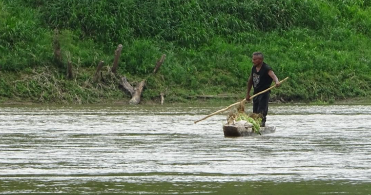 Conservación y sustento: buscando el equilibrio en los cinco grandes bosques de Mesoamérica