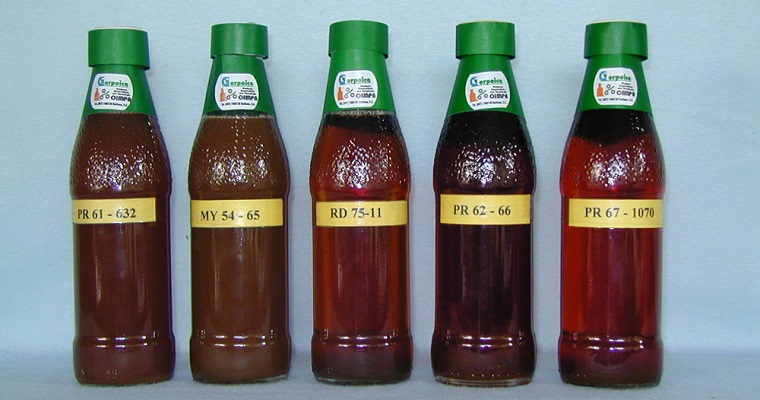 Miel de caña invertida, una alternativa de diversificación de los productos obtenidos en el trapiche