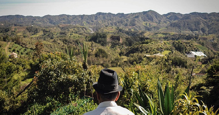 MinAgricultura intercambió experiencias en comercialización, agricultura familiar, manejo del covid-19 en el agro y otros temas con Ministerios de Perú, Ecuador y Bolivia