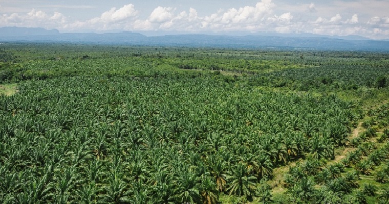 MinAgricultura realizará el Foro Agropecuario Andino, en donde se van a debatir temas rurales y agropecuarios de la Comunidad Andina de Naciones
