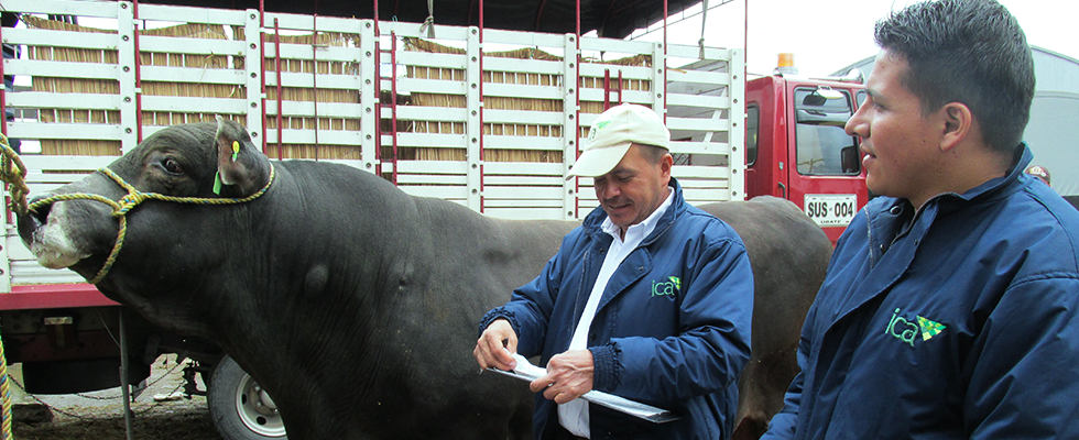 MinAgricultura e ICA simplifican trámites para la expedición de guías de movilización de animales - 04 de Febrero de 2016