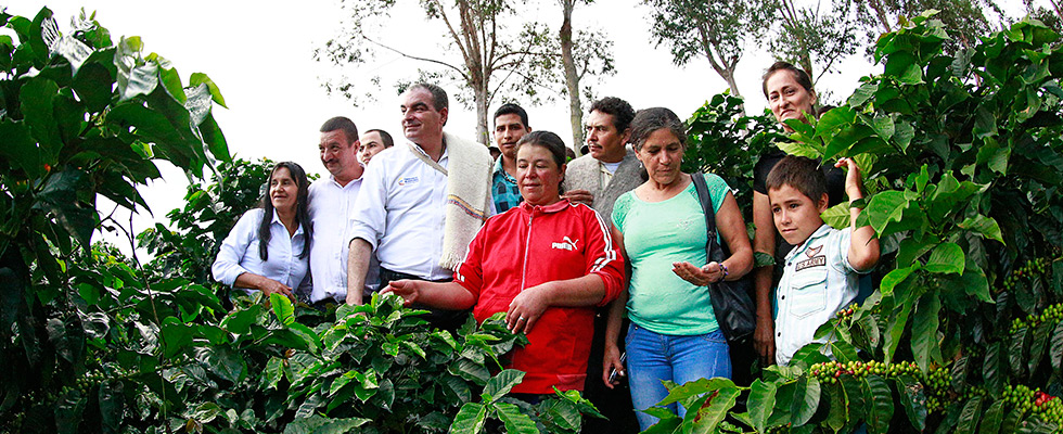 Para mitigar efectos de El Niño, MinAgricultura entrega 200 mil bultos de fertilizante gratis a cafeteros - 15 de Febrero de 2016