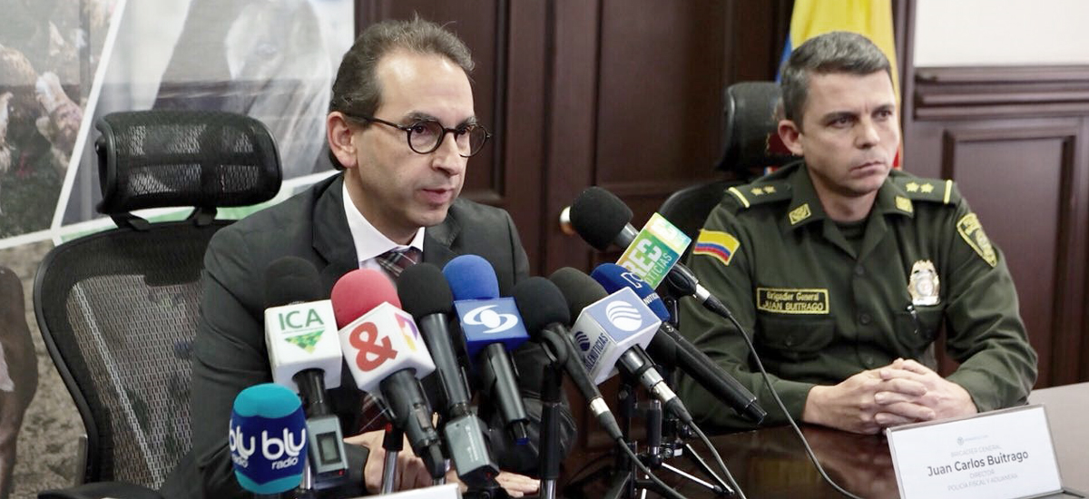 MinAgricultura y POLFA desmantelan red de contrabando de ganado en la frontera con Venezuela que amenazaba el estatus sanitario del país