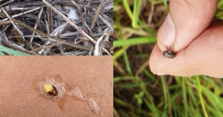 El Mión llega a donde antes no lo hacía: por encima de 3.000 m.s.n.m.