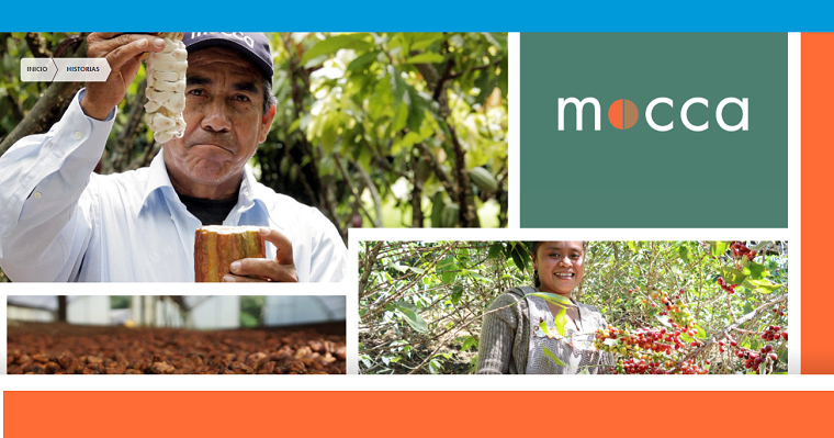 Entendiendo los sistemas de mercado de café y cacao en Latinoamérica