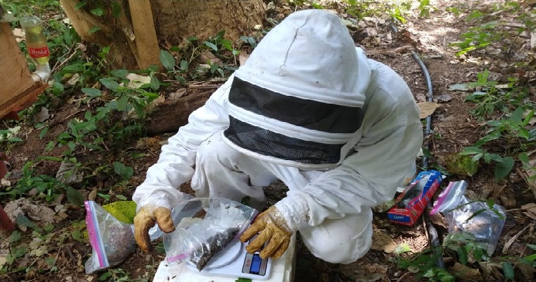 Apicultores afectados por pérdida de colmenas recibirán apoyo en 13 departamentos priorizados