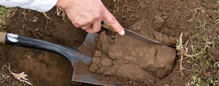 El análisis de suelo marca diferencias en la agricultura