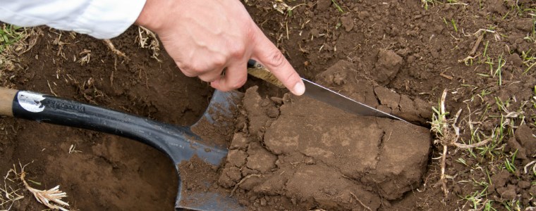 Ya son más de 10.000