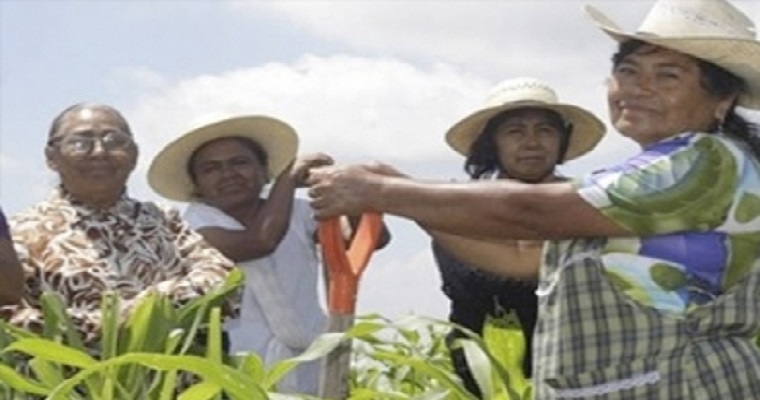 Haga parte del Primer Encuentro Nacional de las Mujeres en el Agro