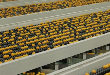 Sector hortofrutícola de Colombia tiene un nuevo aliado neozelandés