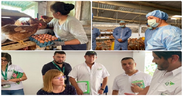 El ICA avanza en extensión agropecuaria con bienestar animal