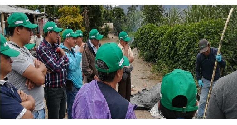 Liberación experimental de Trichogramma en el municipio de Sandoná