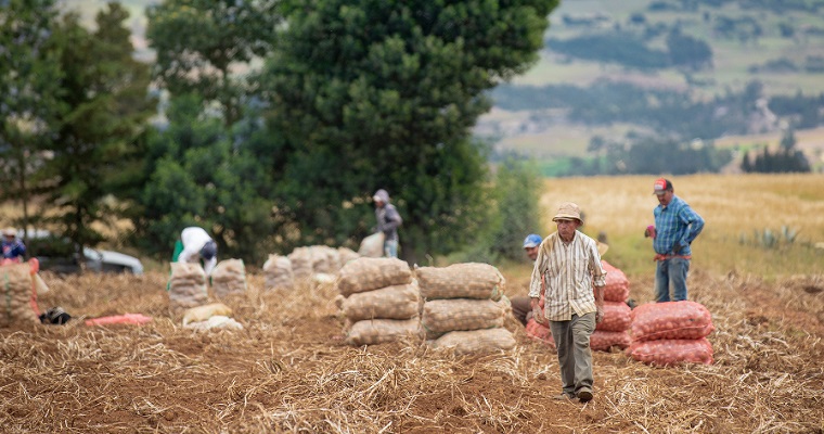En agosto, los alimentos y bebidas fueron la división de gasto con menor variación en el IPC, con -0,68 %