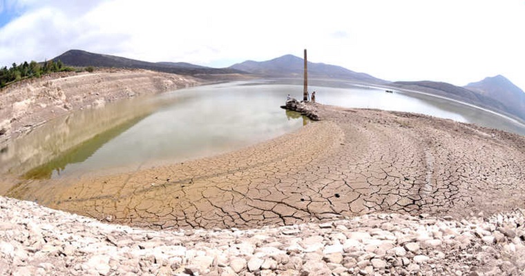 Conoce el software capaz de predecir cambios genéticos de las plantas a causa del cambio climático