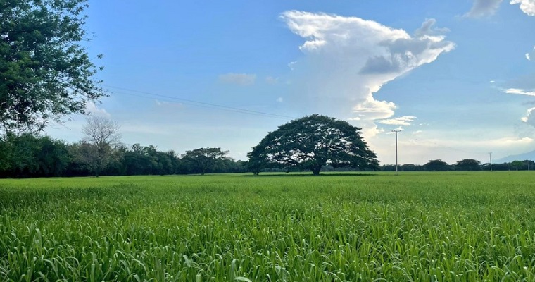 Colombia dispone de 42.944.940 ha de frontera agrícola (FA), continental e insular, en su actualización más reciente