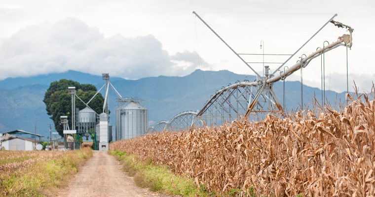 Las importaciones del sector agropecuario, en mayo de 2024, aumentaron un 0,5 %