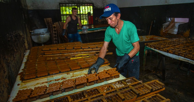 Las zonas aptas para la caña panelera en Colombia es de 12,6 millones de hectáreas