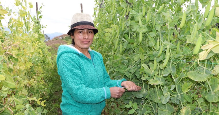 Octubre, un mes dedicado a las mujeres rurales