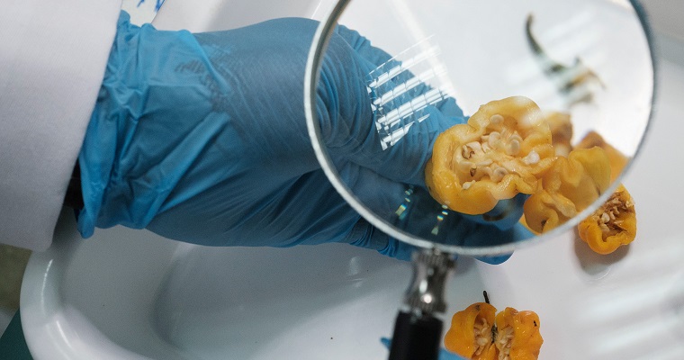 Un solo planeta, una sola salud