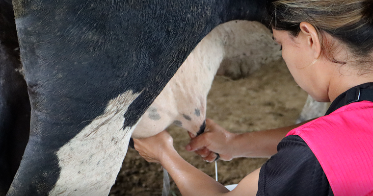 Ordeñar tiene su ciencia