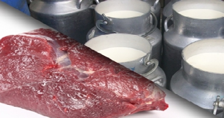 El sector lácteo entra a sumar al crecimiento económico del país: Duque