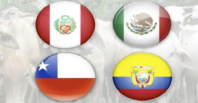 Estos son los mercados que están recuperando para exportar carne