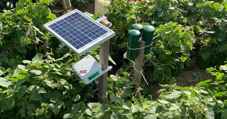 Sensor de humedad de suelo de bajo costo gana concurso de soluciones tecnológicas