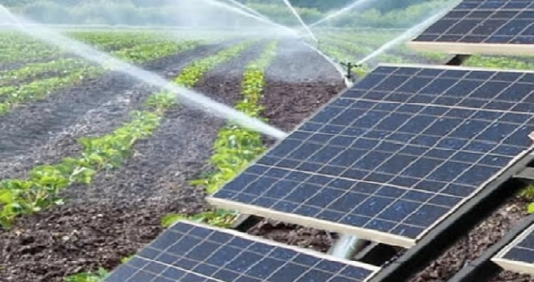 Ganaderos ya utilizan riego con paneles solares para tener pastos permanentes