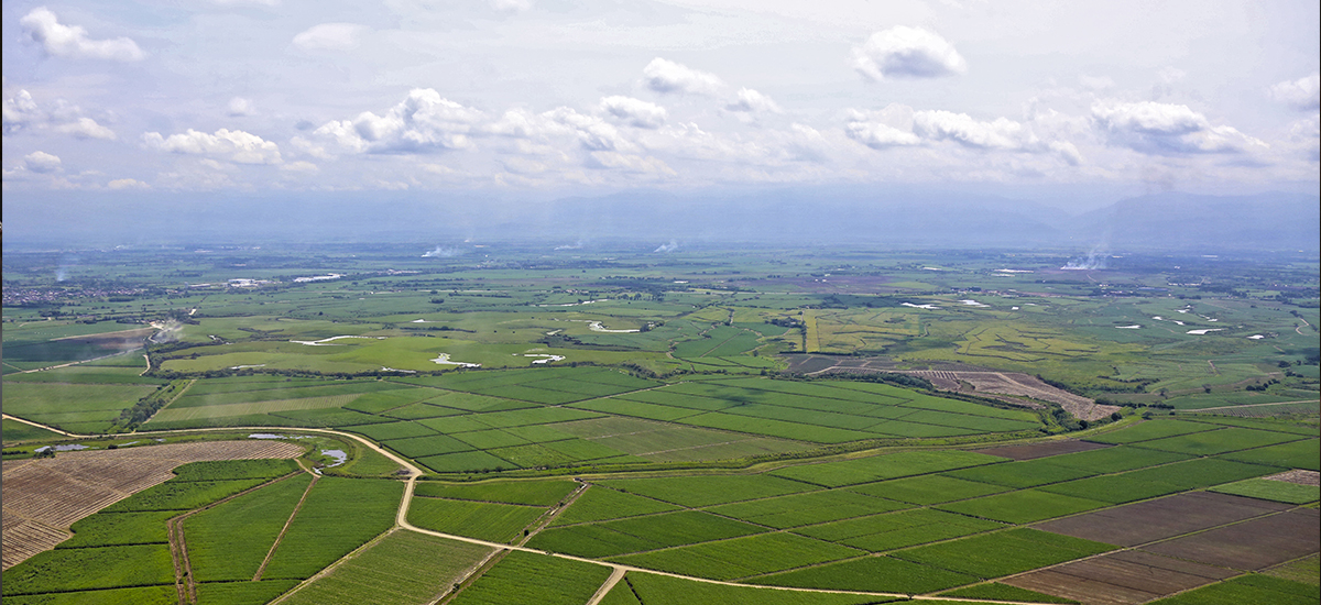 Durante agosto, agricultores tendrán normalidad en las lluvias - 09 de Agosto de 2016