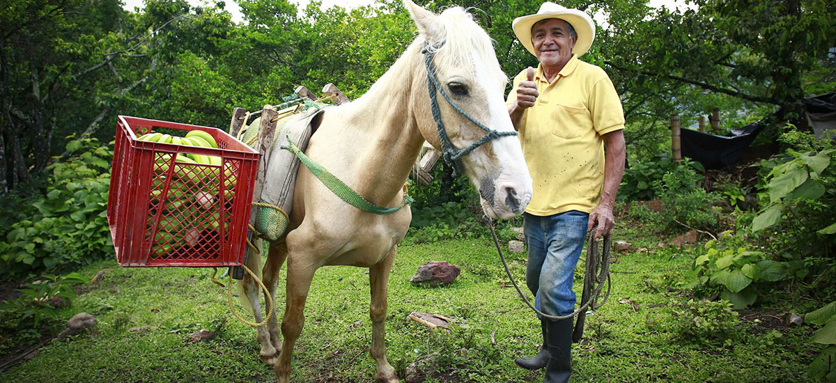 Pequeños productores podrán acceder a más recursos de crédito - 23 de diciembre de 2016