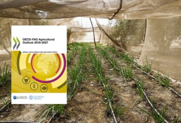 La seguridad alimentaria requiere condiciones predecibles del comercio agrícola