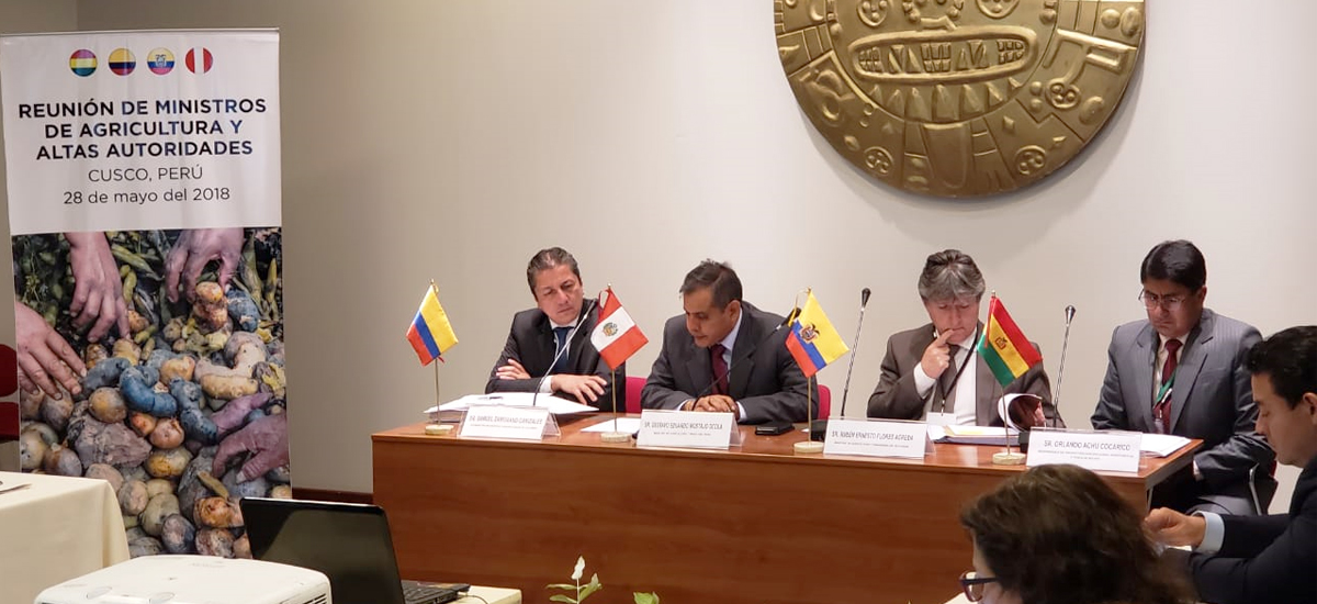 En Congreso Mundial de la Papa, Colombia presenta avances del sector papicultor