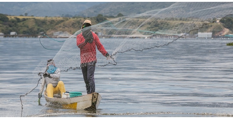 En Semana Santa el consumo de pescado aumenta en promedio 60%