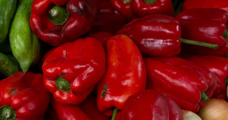 Estos materiales industriales antimicrobianos fortalecerían los cultivos de pimentón
