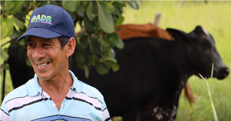 De los píxeles a los pastos: cómo la IA puede ayudar a los agricultores a predecir sus pastos