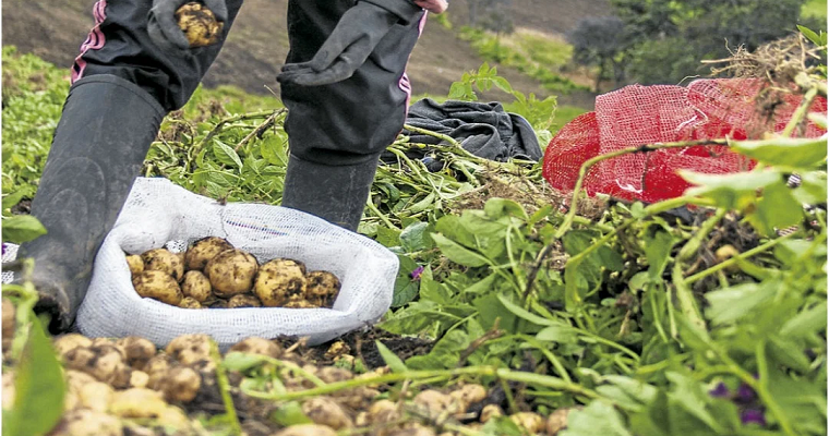 Precios de plaguicidas entran a la baja después de más de 30 meses de incrementos