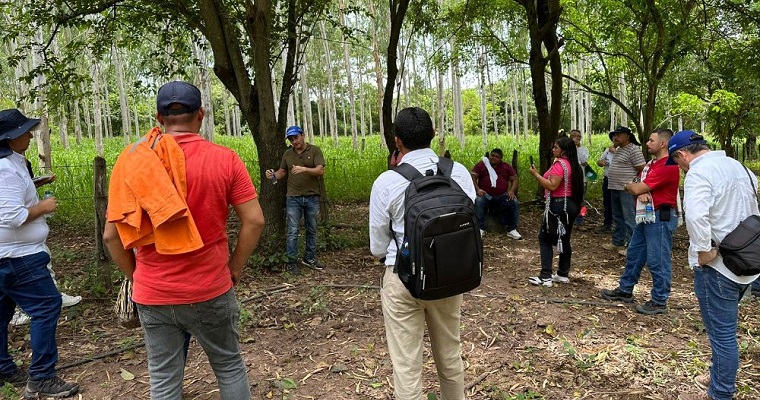 AGROSAVIA inició el Plan de Vinculación Territorial del Caribe Seco en el departamento del Cesar