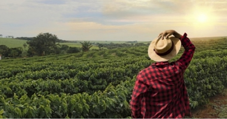 Antioquia propone Plan de Comercialización Agrícola